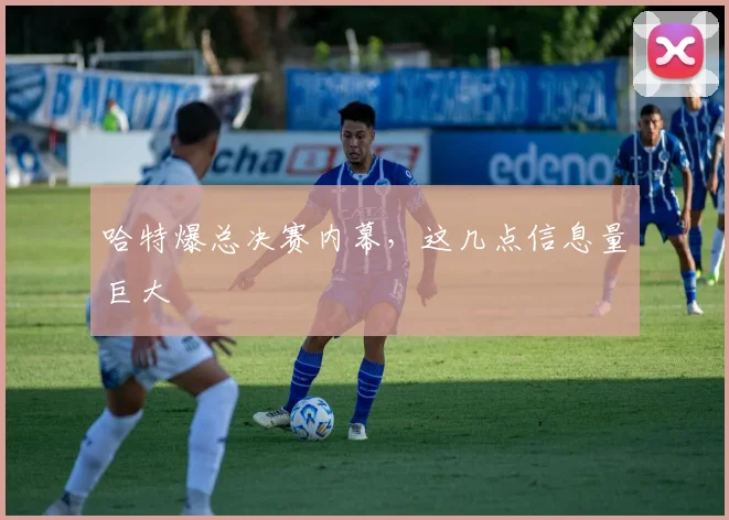 哈特爆总决赛内幕，这几点信息量巨大